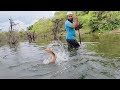 Unbelievable SINGLE HOOK FISHING|Fisher Man Catching in Rohufishes |fishing in Deep forest in river