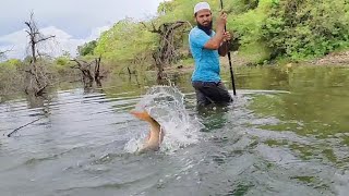 Unbelievable SINGLE HOOK FISHING|Fisher Man Catching in Rohufishes |fishing in Deep forest in river