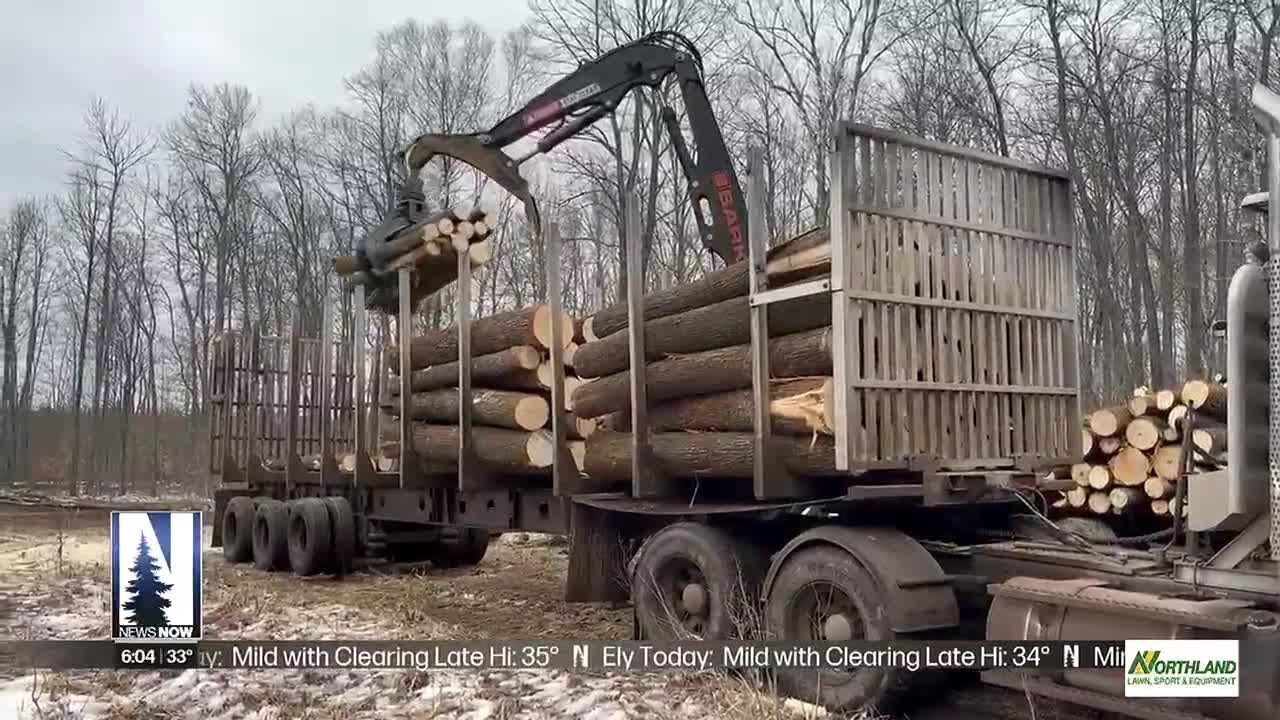 Northland logging industry struggles with warm winter - Tree Frog