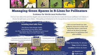 Managing Green Spaces in B-Lines for Pollinators: guidance for Welsh Local Authorities