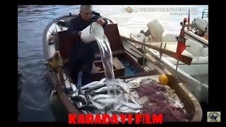 KARABURUN DA  KEFAL AVI
