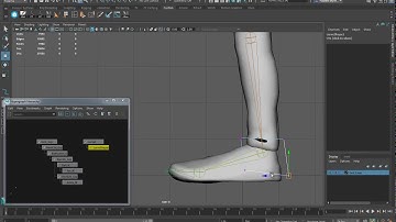 Greta 19 Maya 2019 Foot Rig