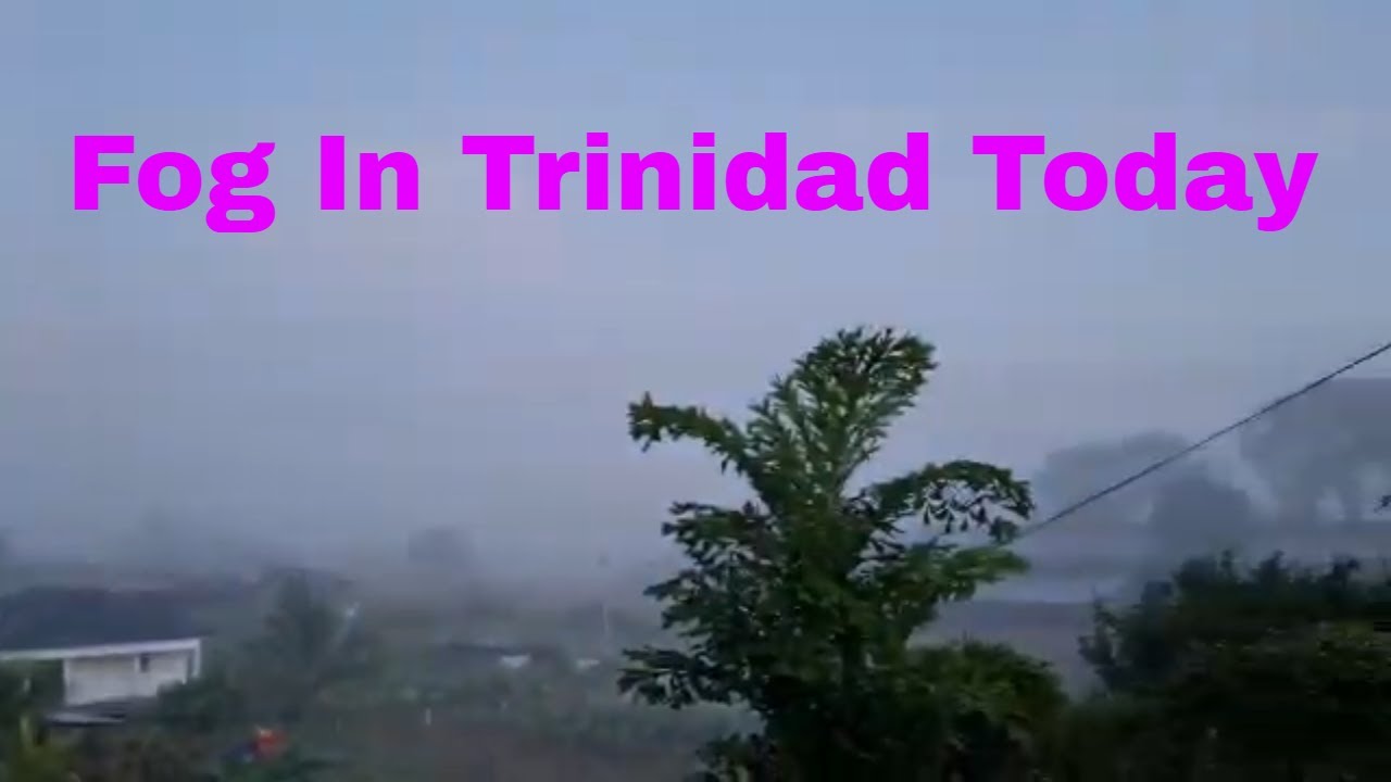 Trinidad Weather Today. Fog In South Trinidad YouTube