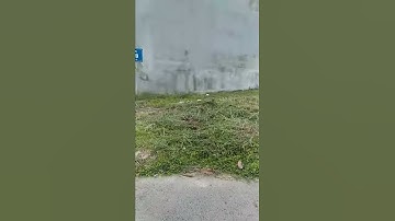 Bán đất VSIP 2 mở rộng