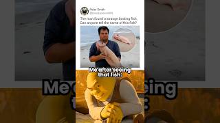 Nature Really Said ‘Try Me’ 😂💀