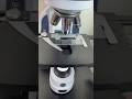 Drop of Blood Microscope🩸🔬#facts #youtubeshorts #youtube #shorts #viral #trending #fyp