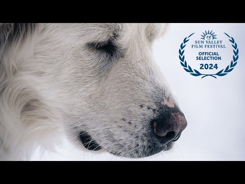 We Got Accepted To the 2024 Sun Valley Film Festival