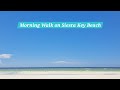 Morning Walk On Siesta Key Beach (Crabs, Flounder, etc)