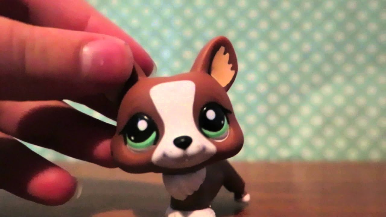 LPSMaking Lps Vids Now! YouTube