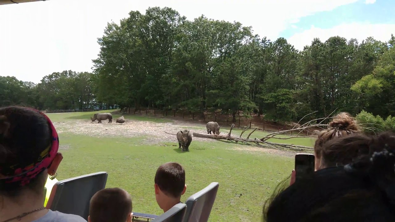 Six Flags Nj Safari Schedule Six Flags Nj Safari Schedule