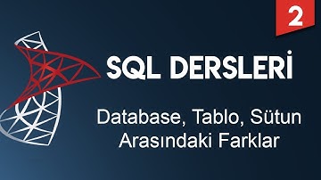 SQL Dersleri 2 - Database, Tablo ve Sütun Arasındaki Farklar