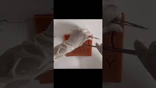 Learn Suturing Like a Pro | Hands-On Training with a Doctor | Part-1 #suturing #medical #suture