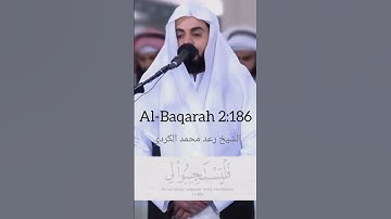 سورة البقرة❤ اللهم ارض عنا🤍 #explore #اكسبلور #قرآن #quran #surah #surah_albaqarah #relaxing #soul