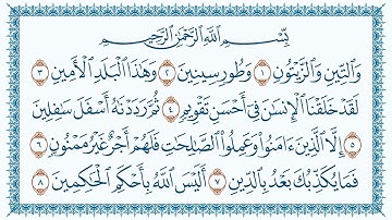سورة 95 التين At Tin قاری برکت الله سلیم
