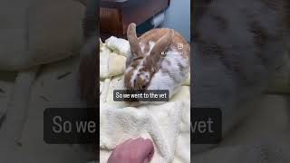 Gi Stasis Aka The Silent Killer Aka The Worst.