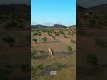 شعاب جبل عارة شمال نجران عصر اليوم
