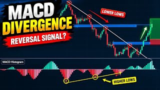 MACD Trading Strategy: How to Trade Crossovers and Divergence [2026 Guide]