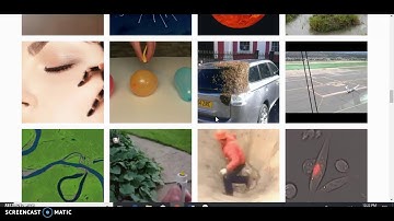 Module 15: NGSS Phenomena