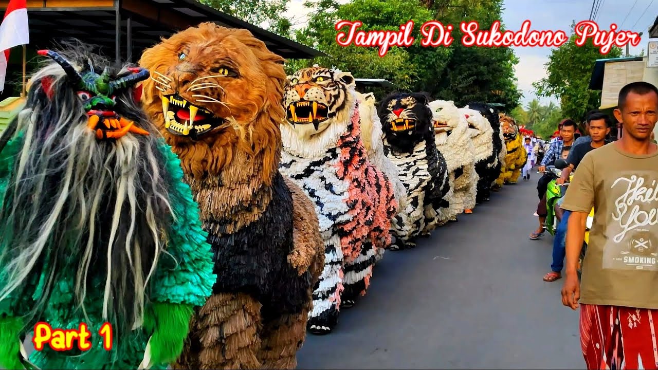 Can macanan singo raung cilik di undang acara khitanan ananda DIMAS SAPUTRA | Part 1