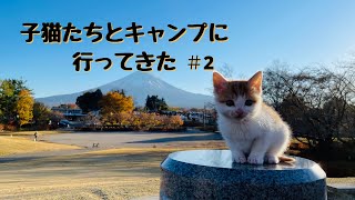 We went to camp with our kittens【#2】