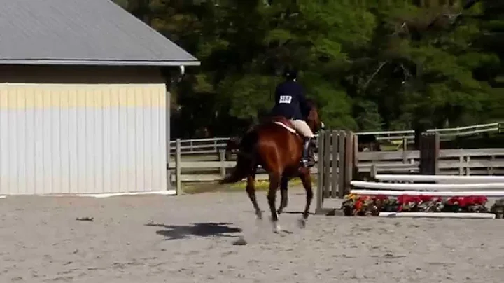 Lachelle & Jinx - Green Hunter 4/27