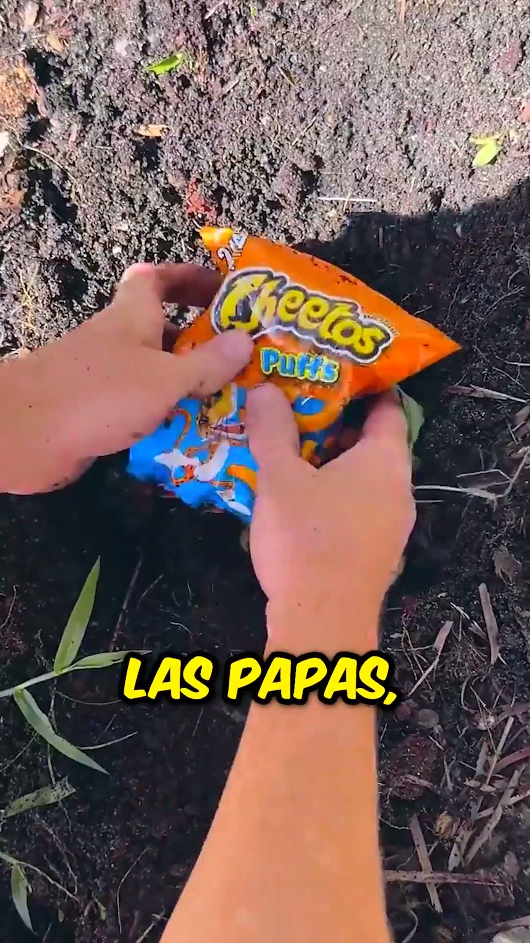 Ella no quiere compartir las papas fritas ??‍♀️