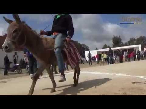 يوم تنشيطي مفتوح بعنوان ربيع تسكراية 2