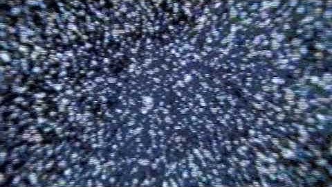 Tobias. "Entire" (Official video)