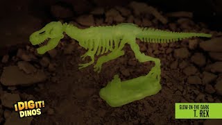 Details about   Dig Up Your Own BRAND NEW GLOWING IN THE DARK DINOSAUR 