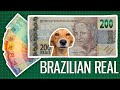 Brazil's REAL-ly Cool Banknotes