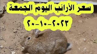 سعر الأرانب اليوم الجمعة 20-10-2023 في المحلات/ سعر كيلو الأرانب اليوم