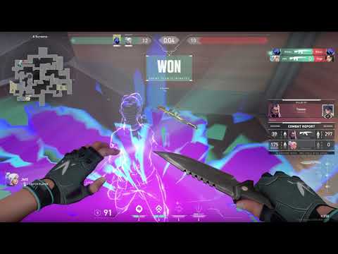Homophobic team on Valorant lol