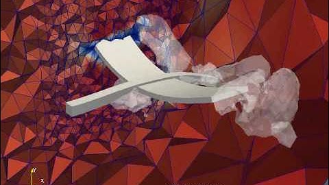 flap_vort_mesh02.avi