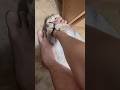 Cats Cat Kitten Shortvideo Cute Catshorts Cutecat Catvideos Pets Funny Animals 2025