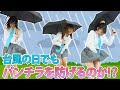 #25「台風の日でもパ●チラを防げるのか！？」