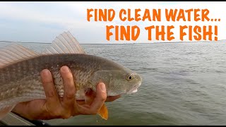 Find That Clear Water after Storms! (Popping Cork Tip)