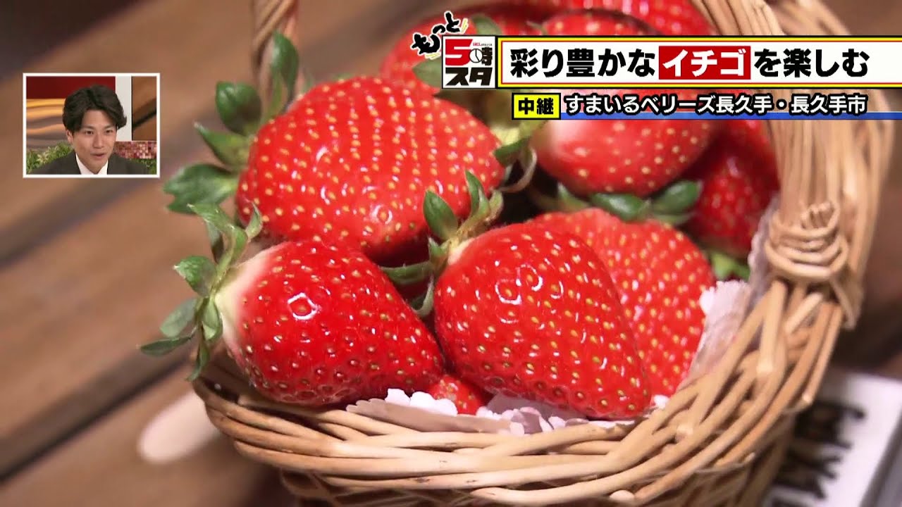 Smile Berries Nagakute] Enjoy colorful strawberries │ Surprise