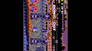 A Sonic CD glitch