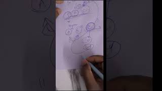 President election explanation, Proportional representation by means of single transferable vote.