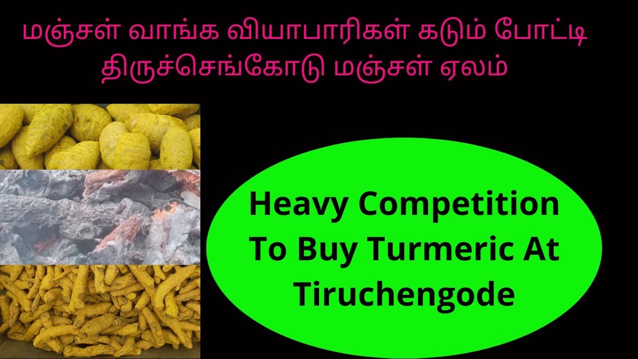 மஞ்சள் வாங்க வியாபாரிகள் கடும் போட்டி | Heavy Competition To Buy Turmeric At Auction Hall | TCMS