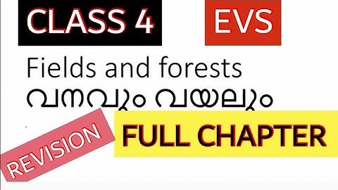 CLASS 4 EVS FIELDS AND FORESTS REVISION