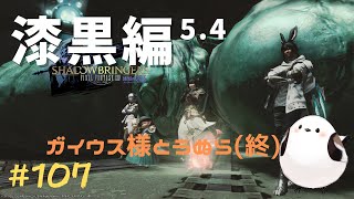 【FF14/GaiaDC】#107　漆黒編5.4～　ガイウス様とうぬらの最終章