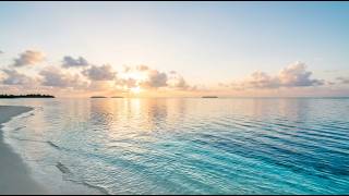 Sunrise Therapy 🌴 Feel Good Tropical House for Positive Energy