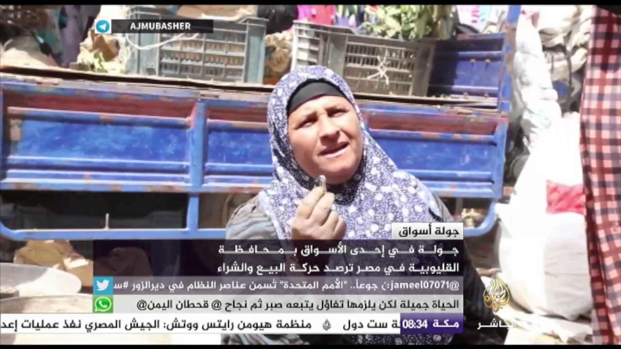 مصر.. حركة البيع والشراء في أحد الأسواق بمحافظة القليوبية