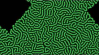 Celebrity Reaction-Diffusion Simulation Wealth
