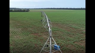 IRRIGAÇÃO COM PIVÔ CENTRAL TECNOLOGIA QUE PERMITE FAZER TRÊS SAFRAS