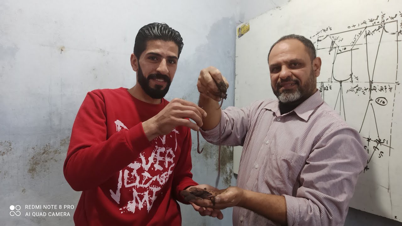 لاول مره تربية دود الأرض البلدية بعد عده تجارب بشهادة المهندس عبد المجيد بشرى ساره لمحبى صيد السمك