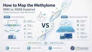 How to Map the Methylome: RRBS vs. WGBS Explained 🧬