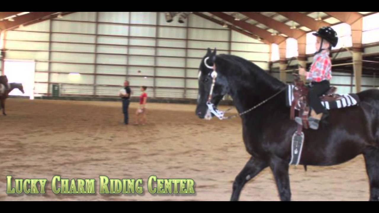 Best Horseback Riding Lessons in Tucson, AZ (520) 2453104 YouTube