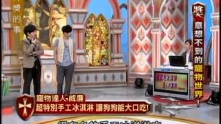 得獎的事:意想不到的寵物世界2 5 20100531